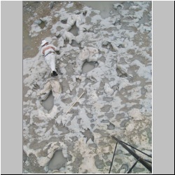 100_0842 (2009-27-07).JPG